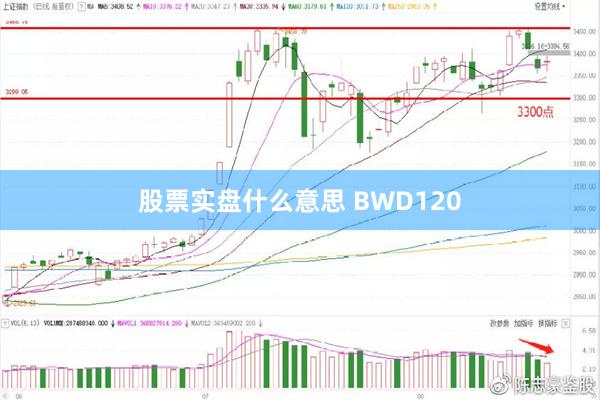 股票实盘什么意思 BWD120