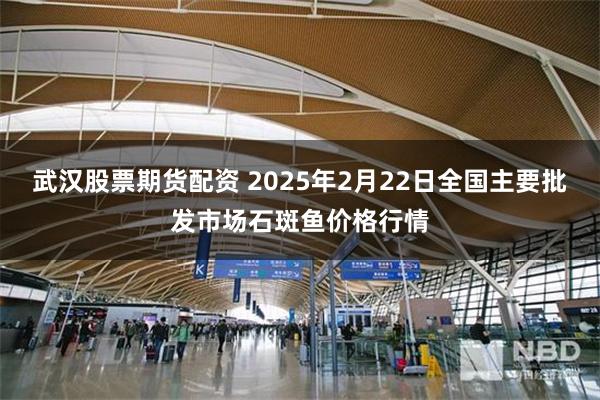 武汉股票期货配资 2025年2月22日全国主要批发市场石斑鱼价格行情