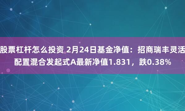 股票杠杆怎么投资 2月24日基金净值：招商瑞丰灵活配置混合发起式A最新净值1.831，跌0.38%