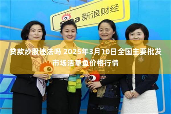 贷款炒股违法吗 2025年3月10日全国主要批发市场活草鱼价格行情